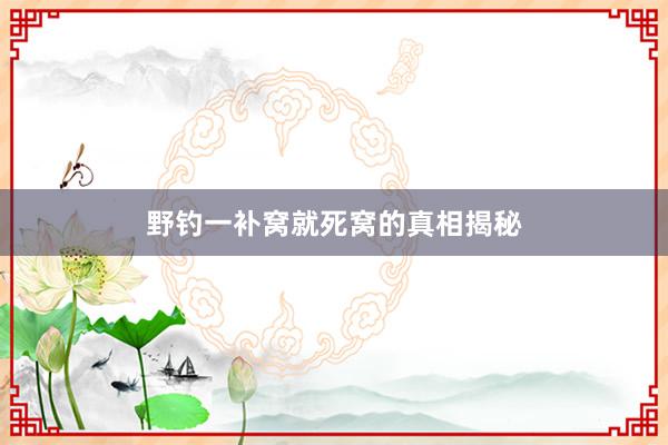 野钓一补窝就死窝的真相揭秘